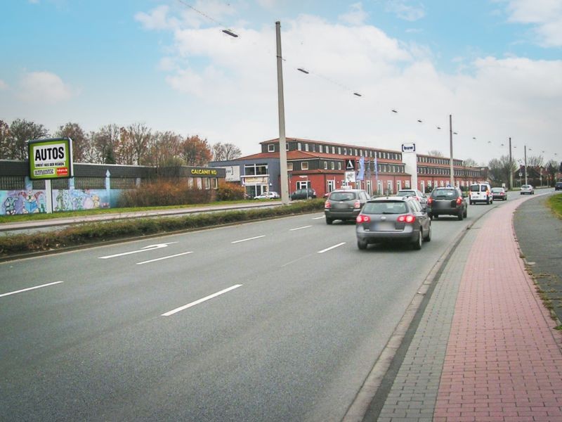 An den Loddenbüschen  93 ew