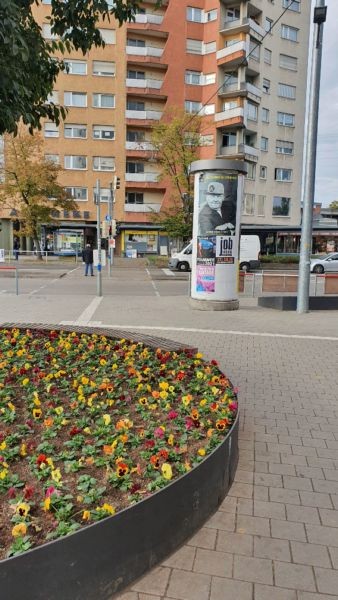 _B/Haldenrainstr.Schozacherstr.