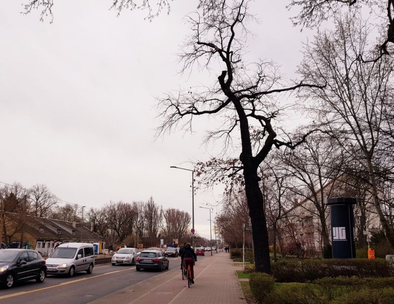 Treskowallee 146 vor Traberweg