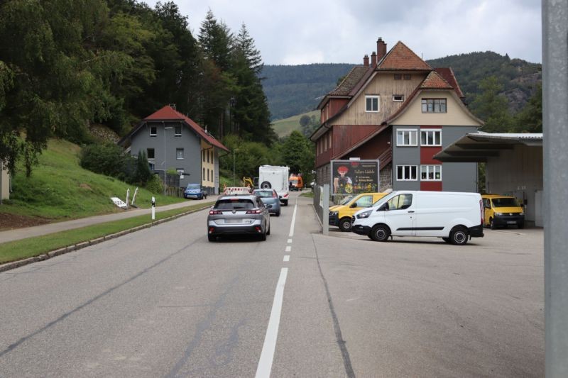 Sch?nenbuchen 10 (B 317)  VS