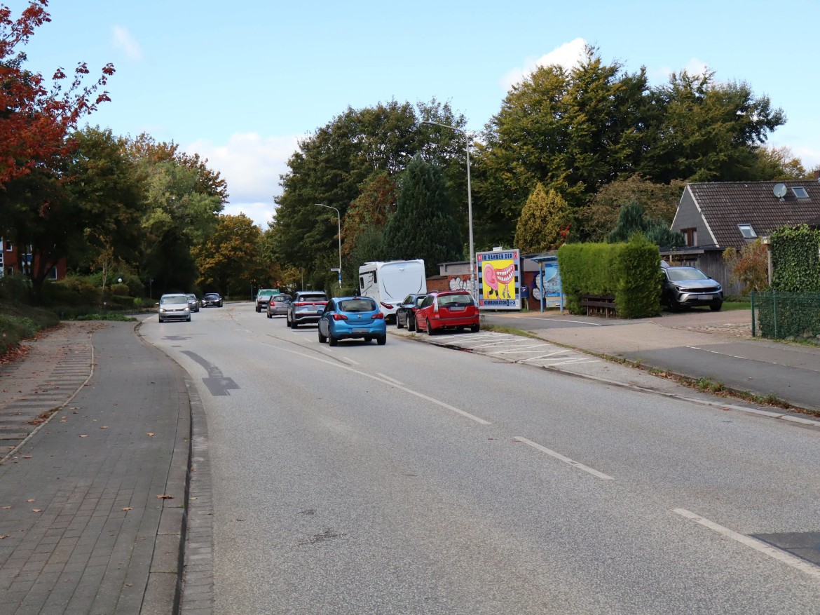 Wulfsteert 46