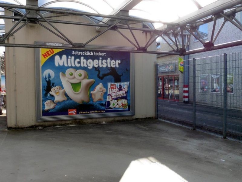 Hasselborn  44 (Hit geg. Eing.)