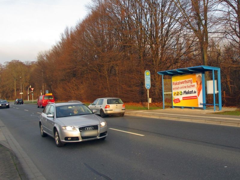 Peiner Str./Hammerschlag gg