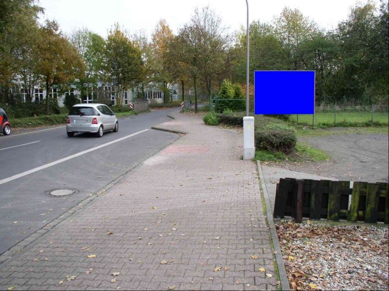 Hormesfeld   8