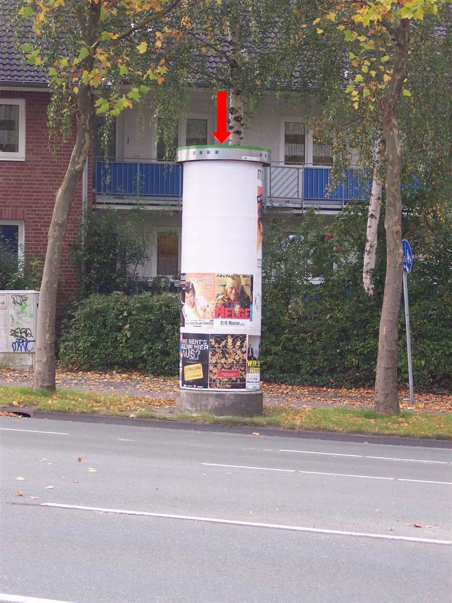 Hoher Heckenweg/Piusallee