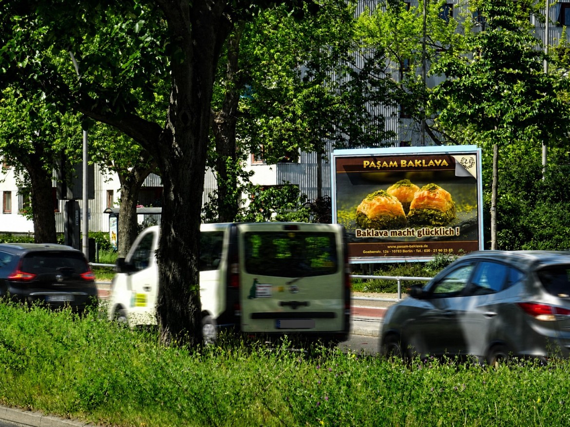 Fritz-Erler-Allee/Lipschitzallee 33 schräg