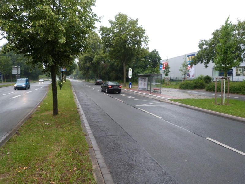 Adenauerallee/HST Adenauerallee/Ri. Gels./We.re.