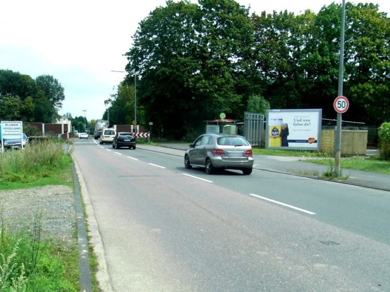 Kölner Str. Nh. BAB-Brücke re.