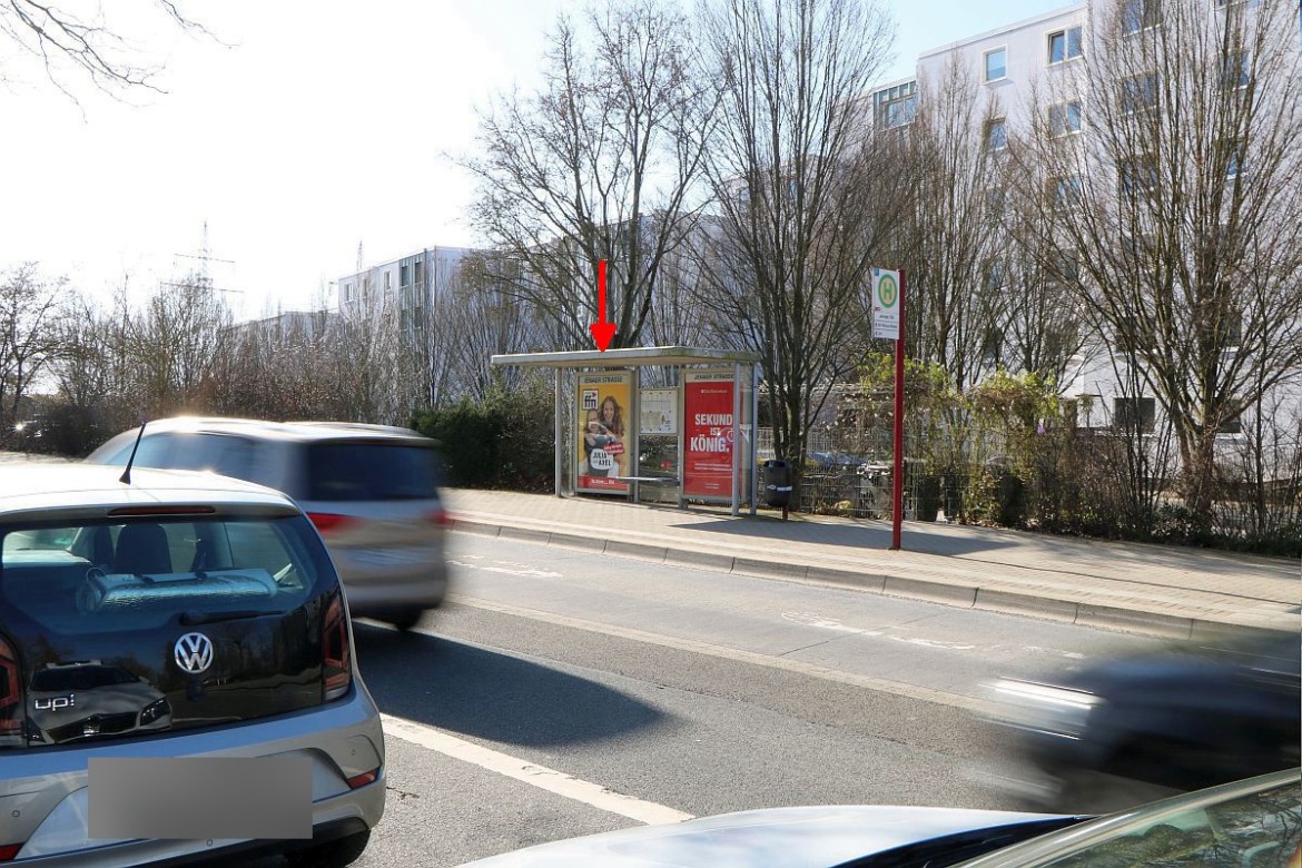 Dresdener Ring  59 li.