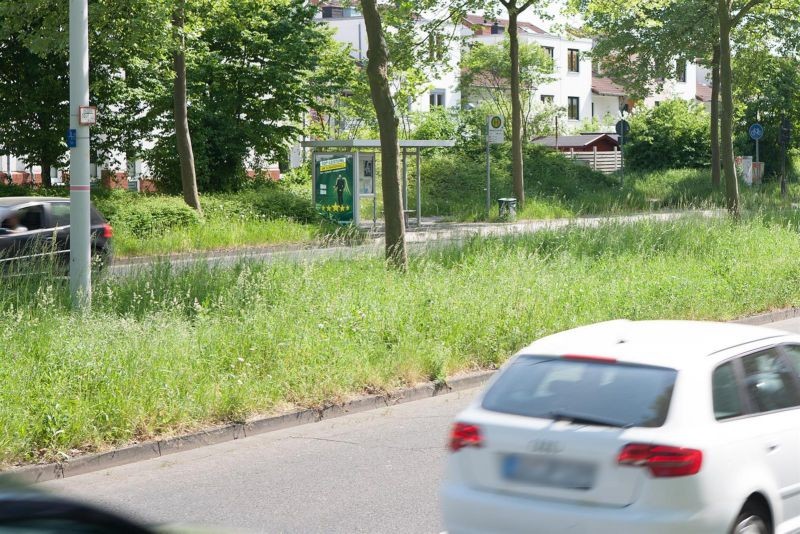 Brueser Damm HST Marie-Curie-Str. sew. außen