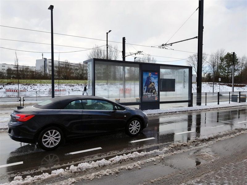 A.-Einstein-Allee/HST Hochschule Eselsberg,sew./RS